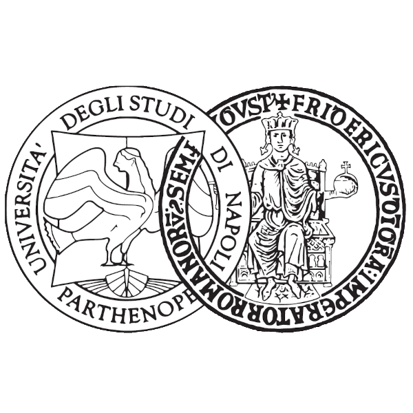 Università di Napoli